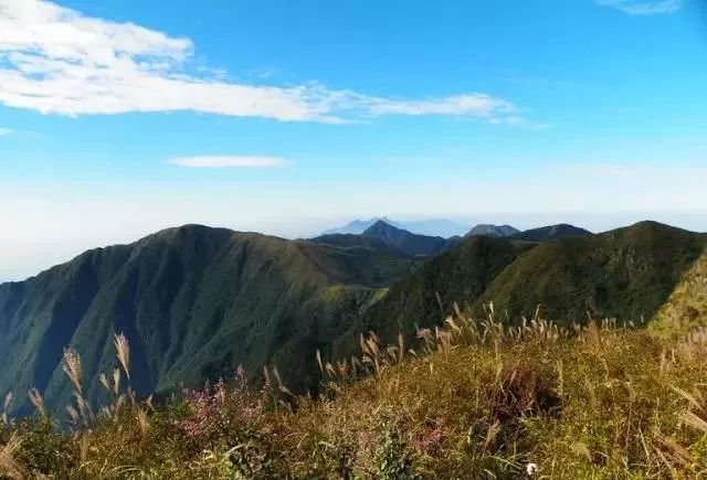 道县月岩林场天气预报更新通知