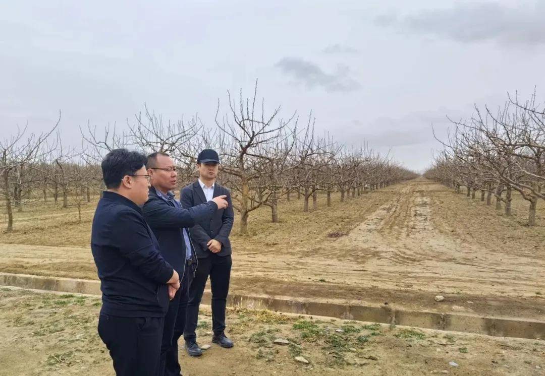 甘肃农垦裕盛农业公司最新交通动态