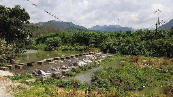 顿珠顶村新项目启动，重塑乡村未来