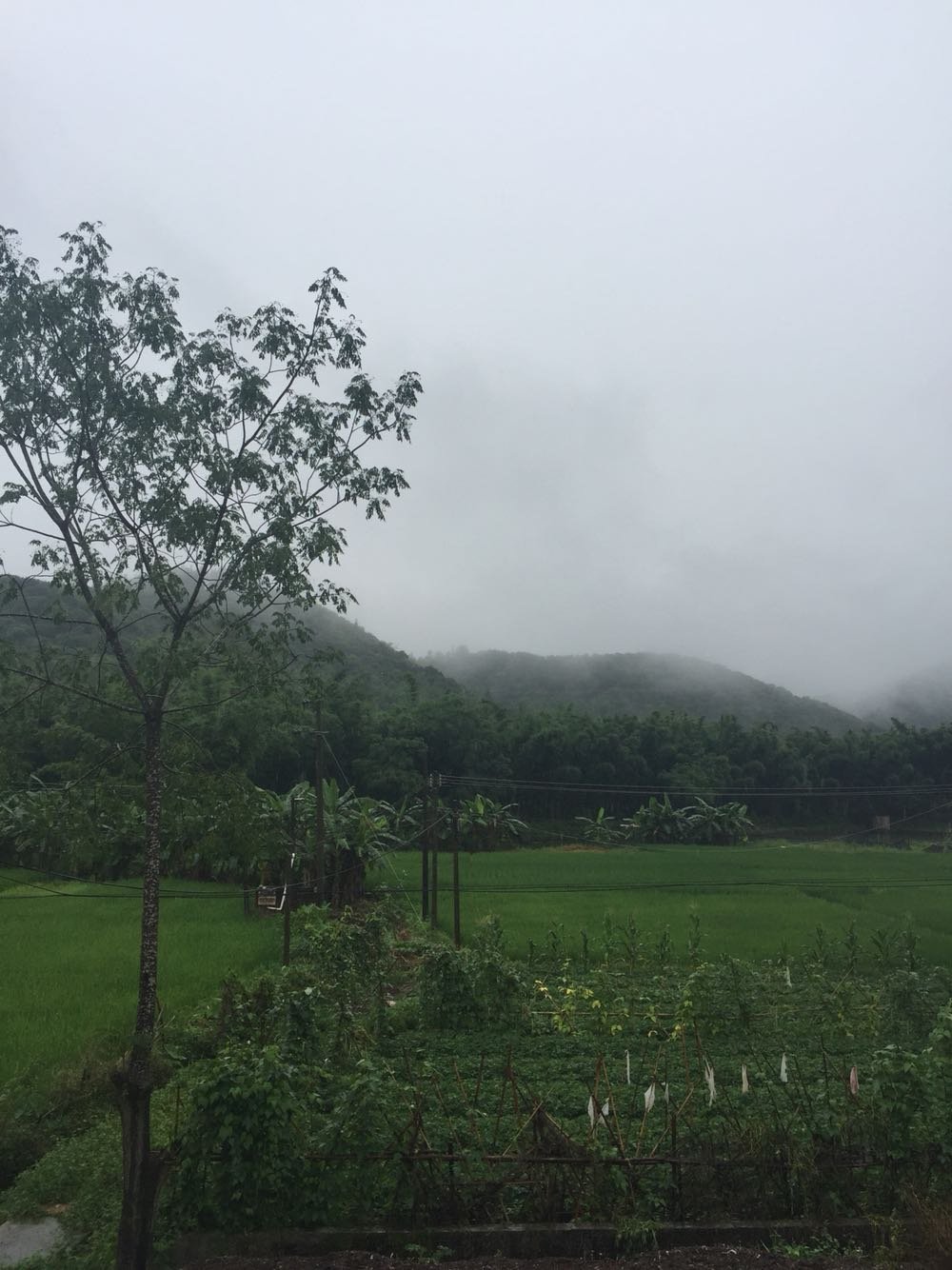 那若村今日天气预报