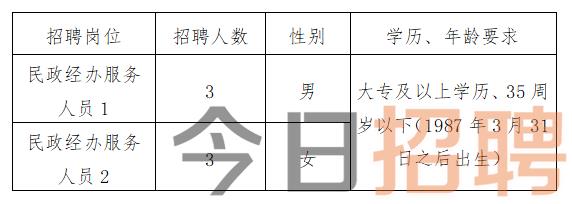 峨山彝族自治县审计局最新招聘信息概览及分析