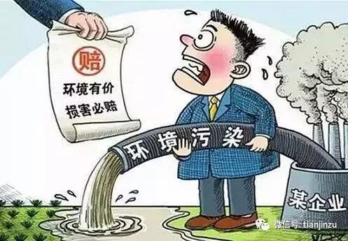 其将承担哪些法律责任？