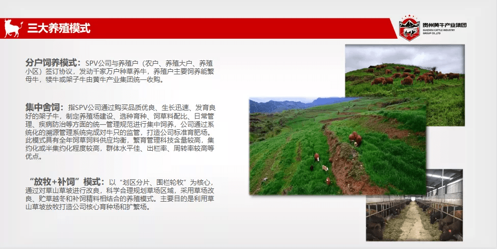 石堡乡最新招聘信息汇总