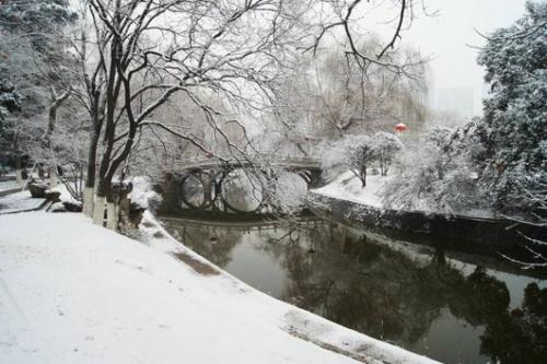 古都西安雪落纷飞，冬日韵味尽显魅力