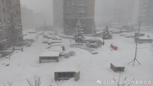 四预警齐发，大风寒潮暴雪大雾带来的严峻挑战