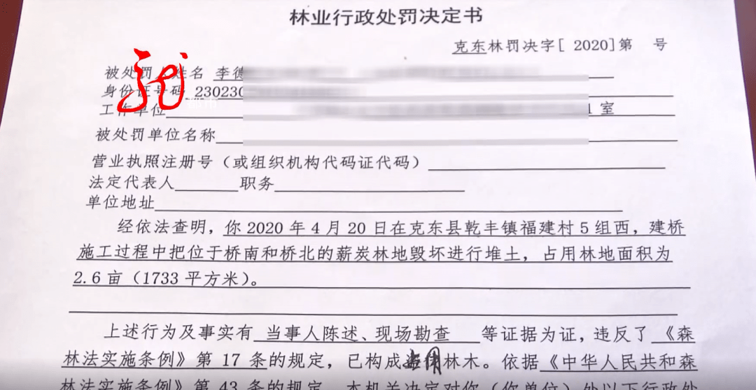 东岭村委会人事任命揭晓，塑造未来，激发新活力