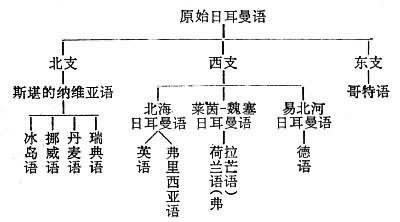 探究语言相似性，英语与法语的亲近与德语和英语的语族归属之谜