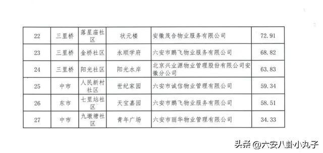 金安区数据和政务服务局招聘公告详解