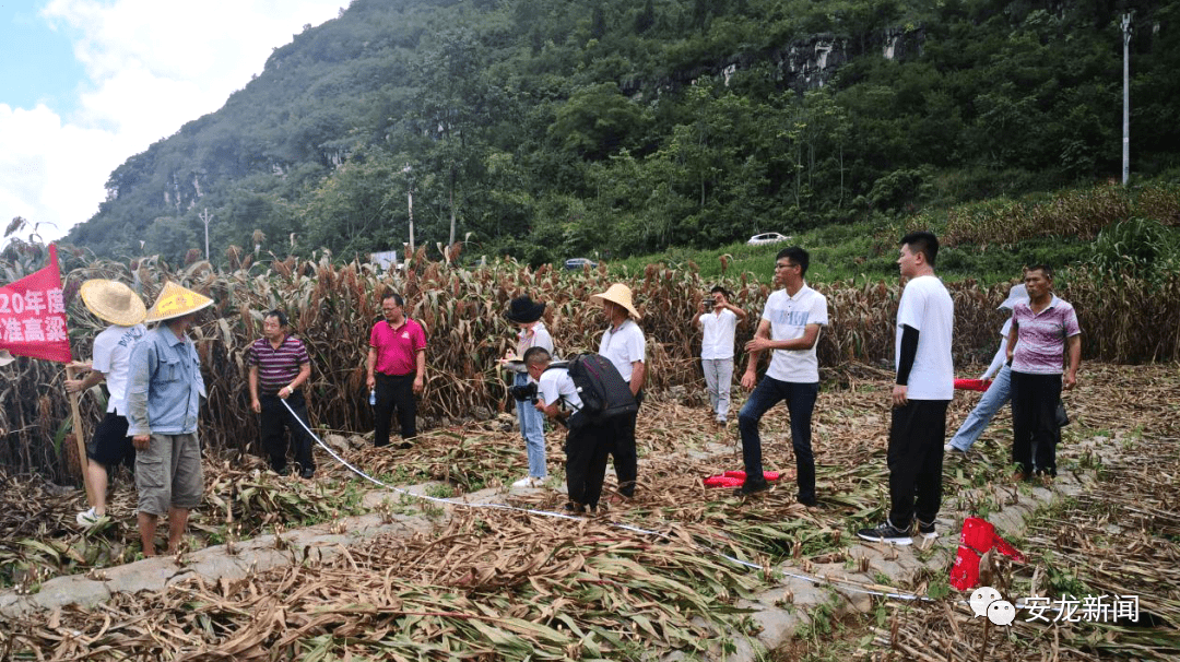 福贡县农业农村局新项目推动农业现代化助力乡村振兴