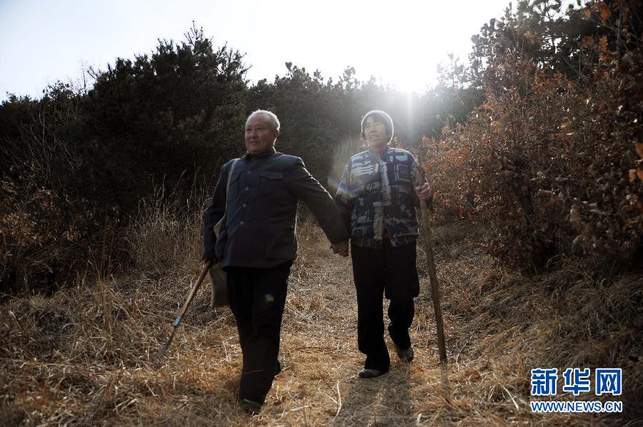 山东六旬夫妻二十年植树成山，绿意盎然显真情