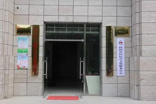 中院社区居委会启动新项目，重塑生活品质，提升社区生活幸福感