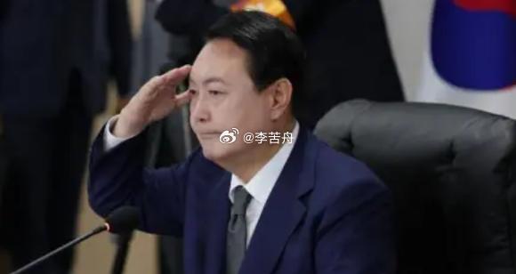 尹锡悦总统职务暂停背后的政治风波剖析与反思