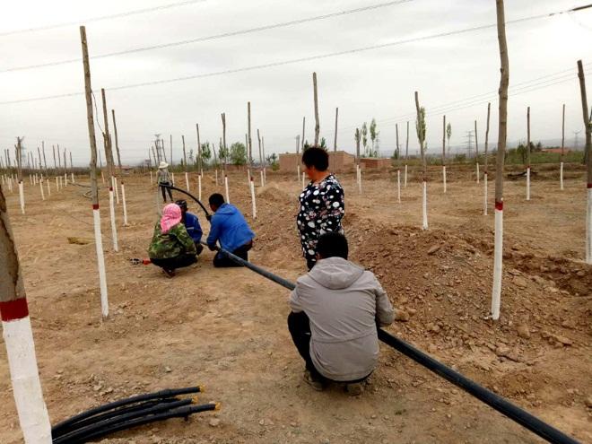 平川区级公路维护监理事业单位人事任命最新公告