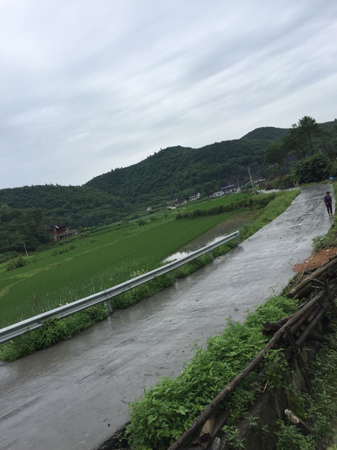 金家湾村委会天气预报及影响深度解析