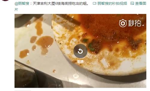 海底捞门店回应虾滑产品质量问题，食品安全与消费者权益的反思与探讨