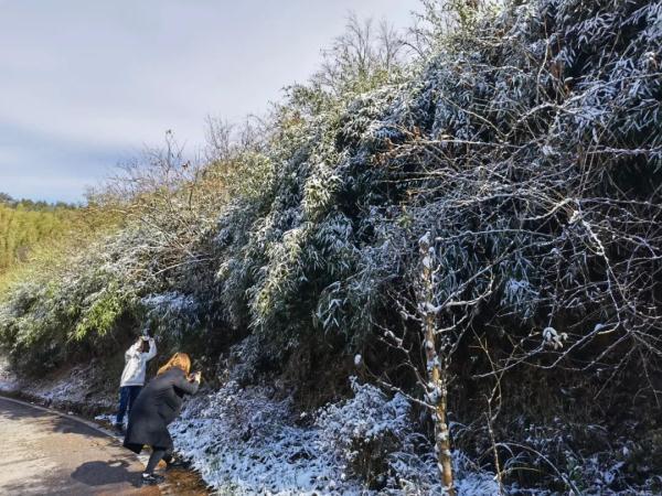 长沙迎来降雪季节