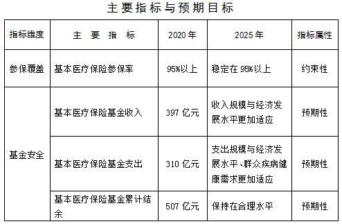 宜秀区医疗保障局未来发展规划展望