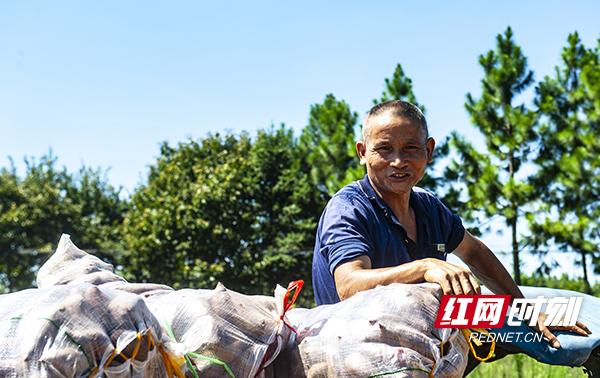 衡南县公路运输管理事业单位领导概览更新