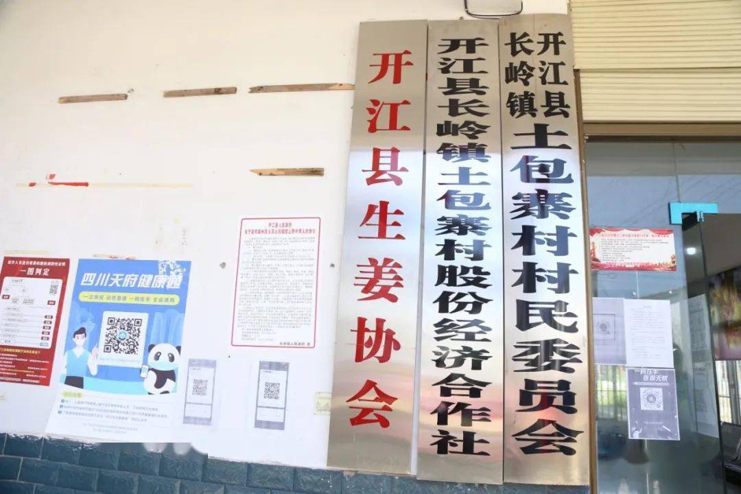 清流县防疫检疫站全新发展规划概览