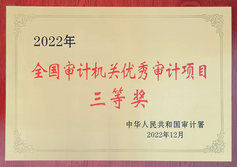 青浦区审计局人事任命揭晓，深远影响展望