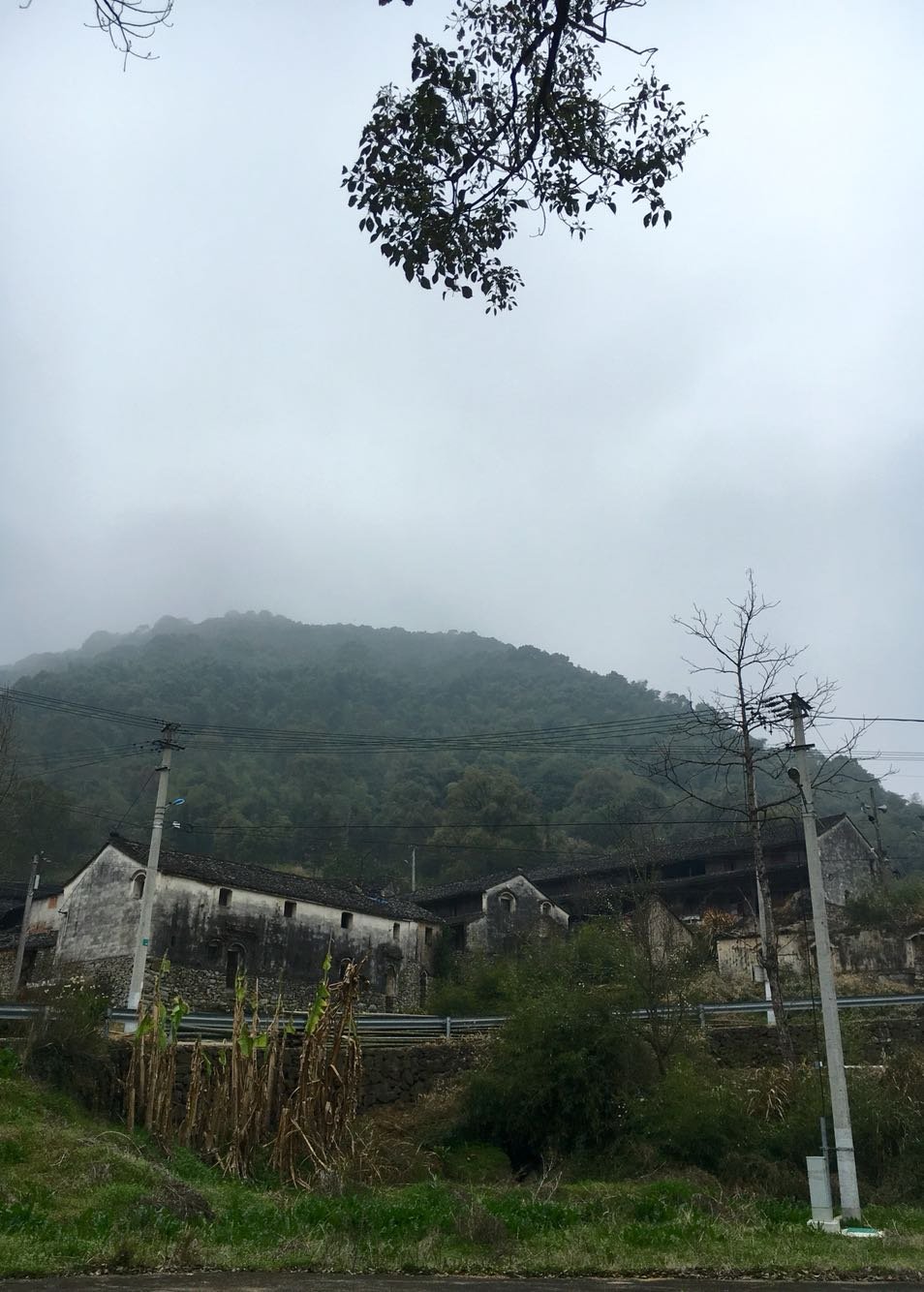 飞鸾镇天气预报更新通知