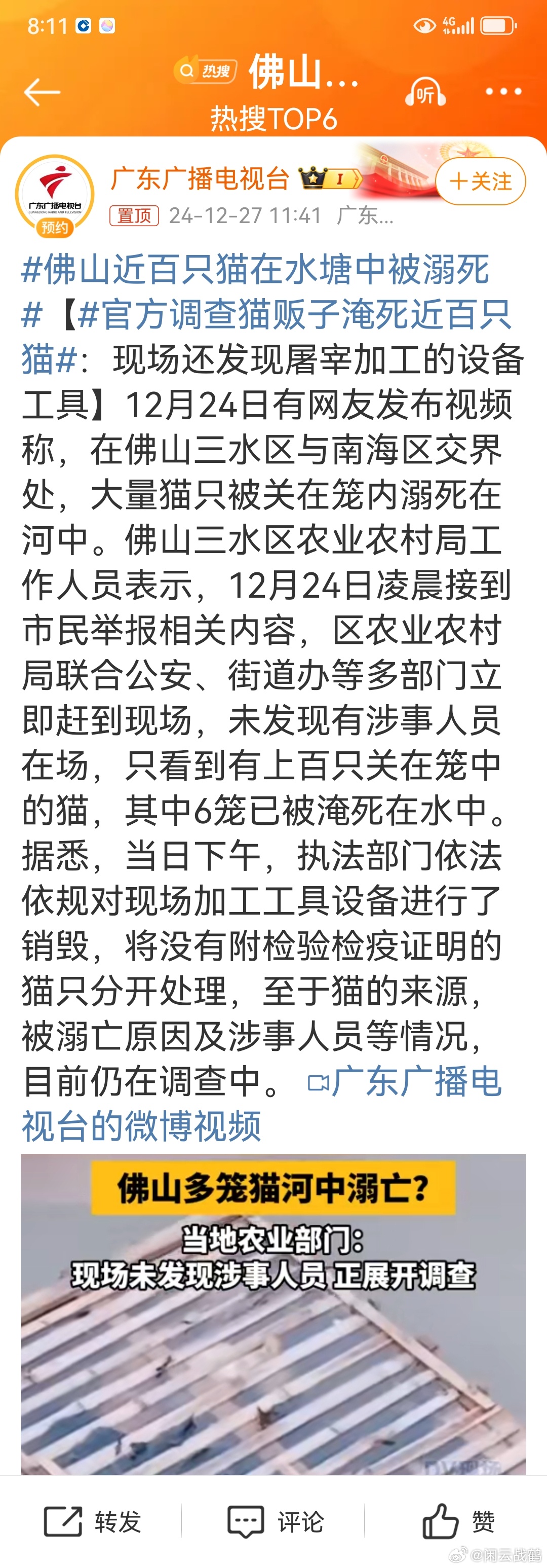 佛山近百只猫水塘溺亡事件引发社会深思