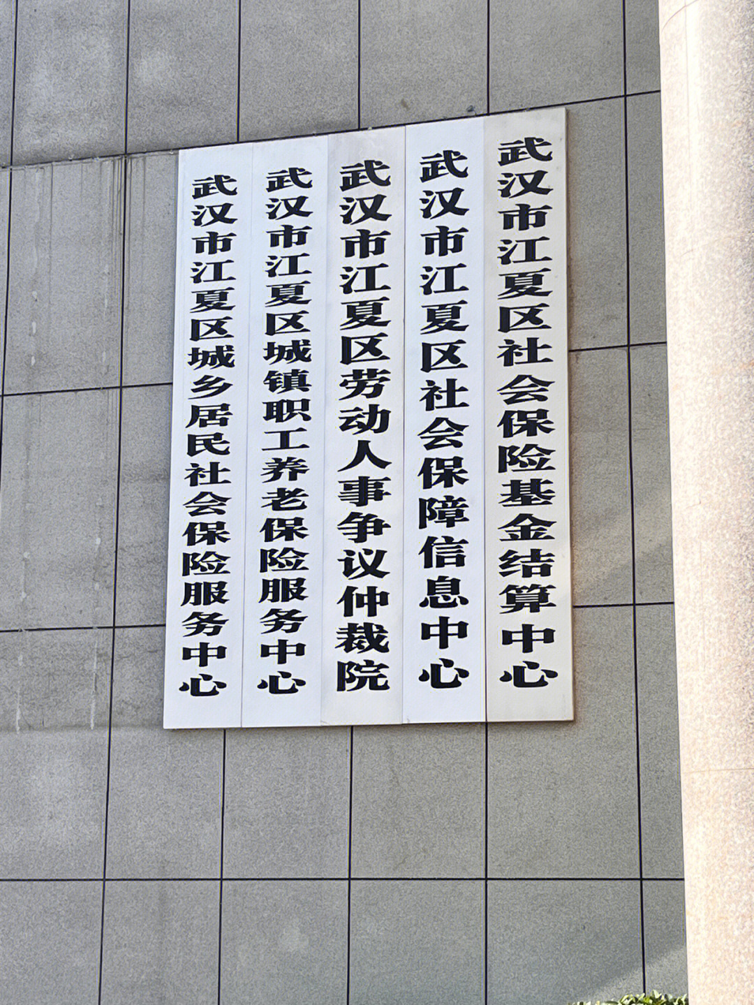 武汉市劳动和社会保障局新项目，推动城市劳动力市场可持续发展