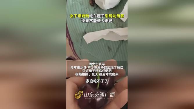 女子喂鸡吃车厘子，展现和谐共处之道，人与动物的温馨互动引网友羡慕