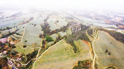 苇子沟蒙古族乡天气预报详解，最新气象信息汇总