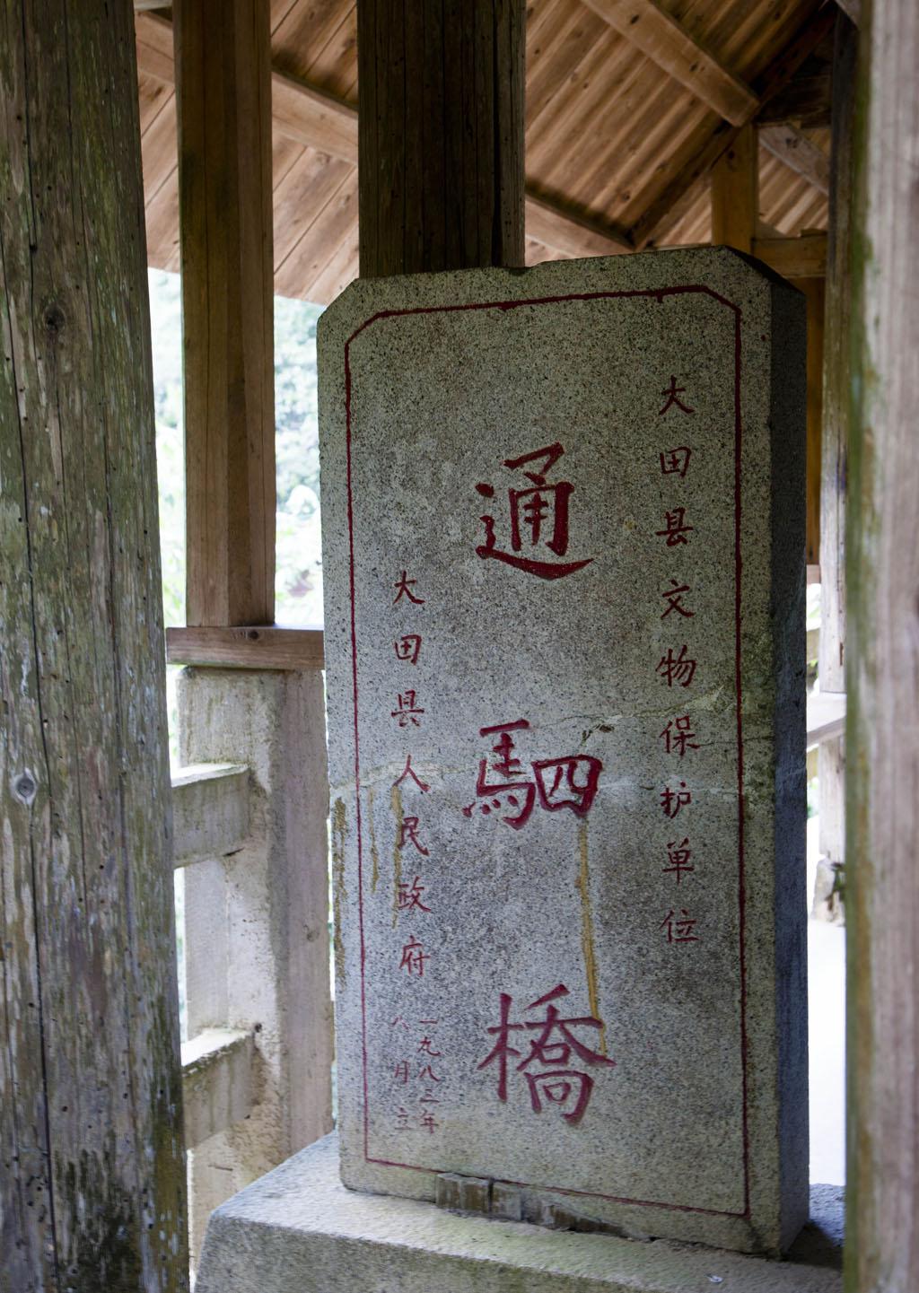 风雨洗礼中成长，人生的磨砺与自我超越之路