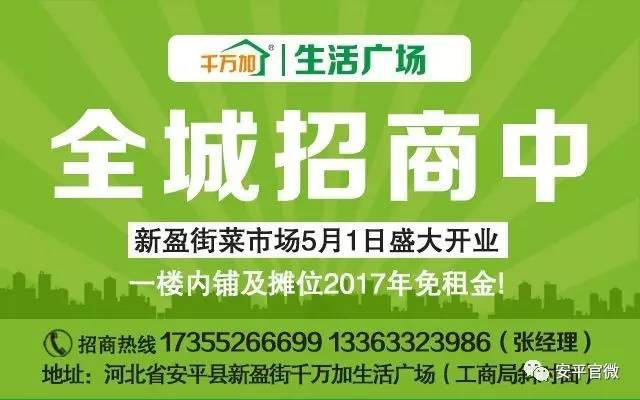 宁南县人力资源和社会保障局最新招聘信息全面解析