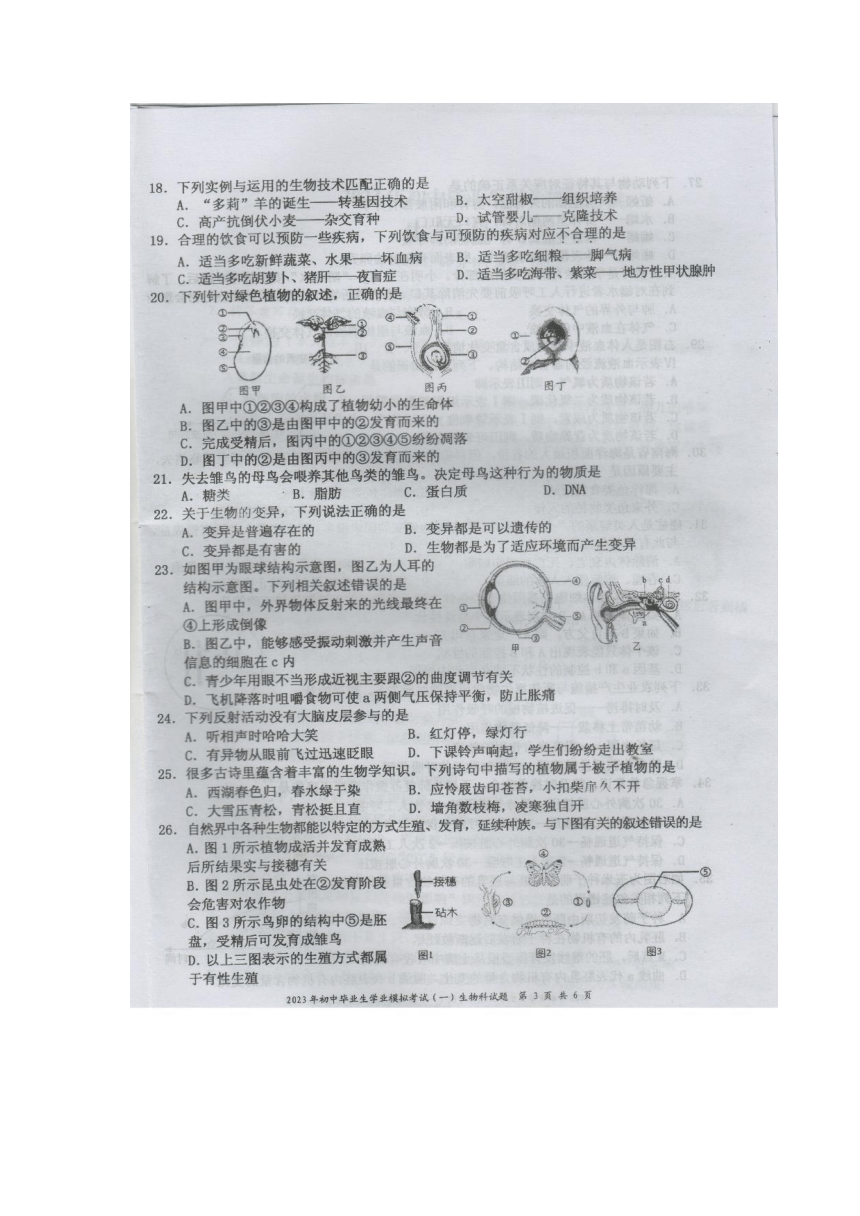 省直辖县级行政单位市文化局人事任命及其深远影响分析