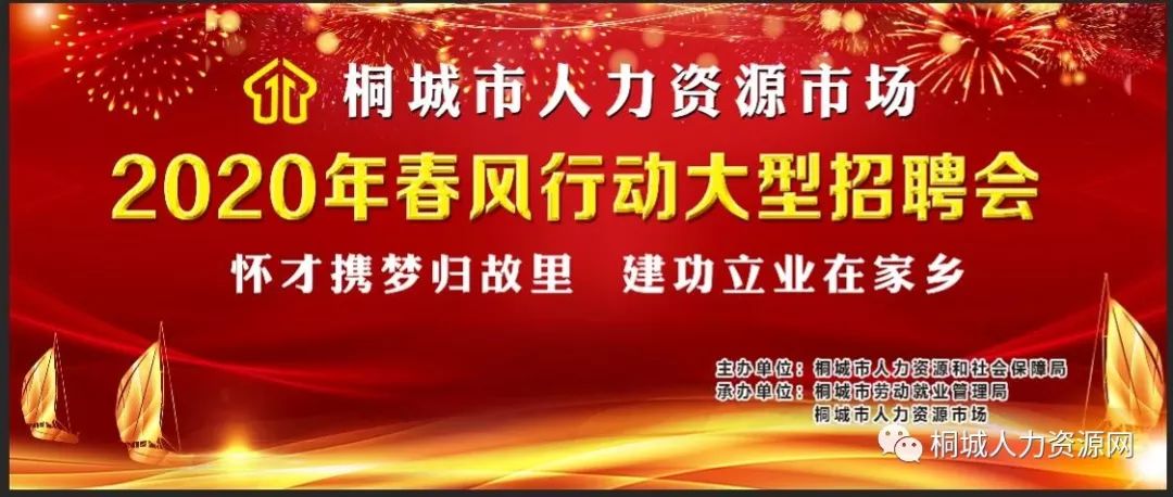 桐城市统计局最新招聘启事