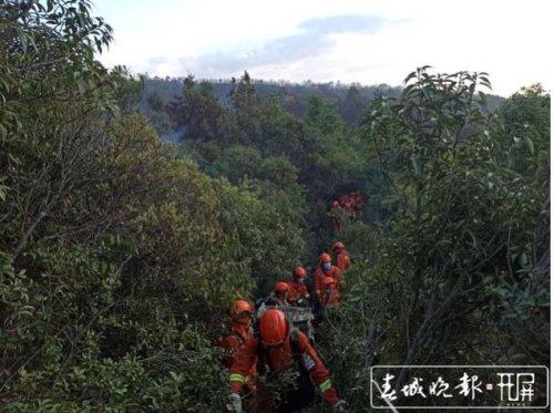 中国网友关于山火的关切与美消防员对管理不足的揭示