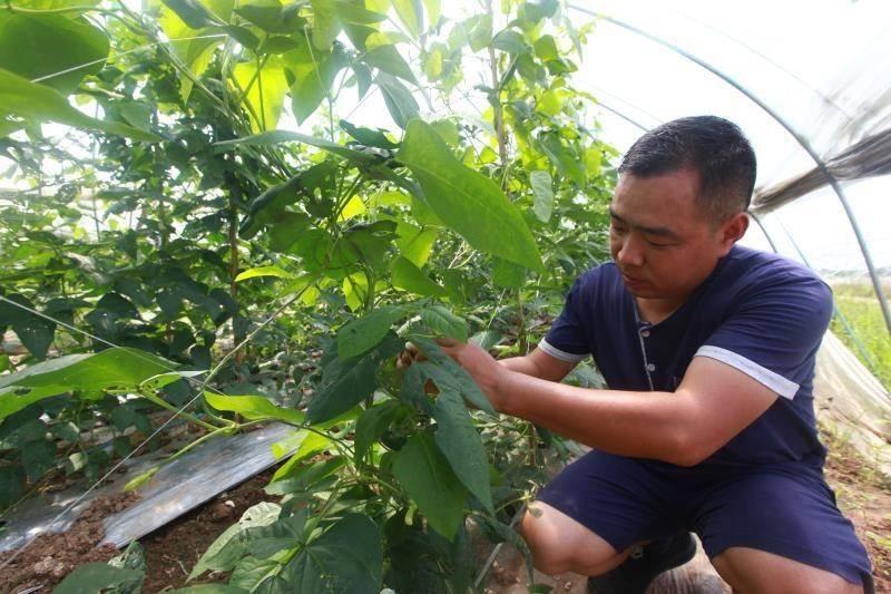 鸠江区市场监督管理局发布最新消息