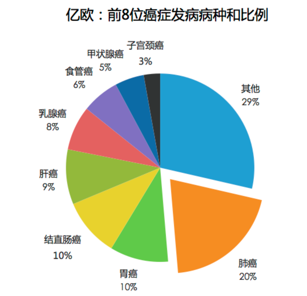 倾夏 第2页