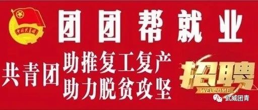 武威市商务局最新招聘启事概览