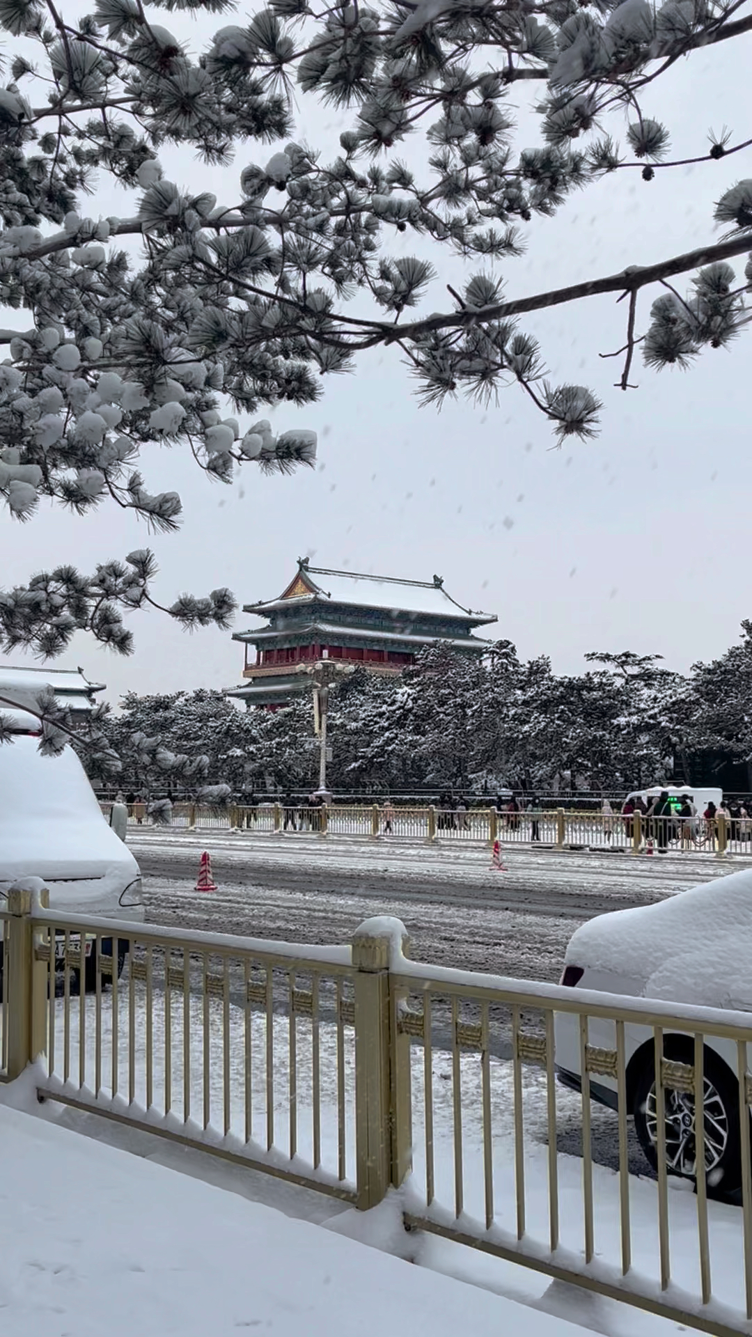 北京雪落纷飞