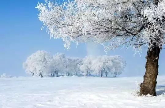 西安雪势如东北，气势磅礴