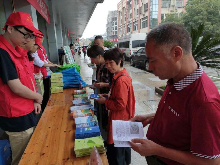 桐琴镇未来蓝图，繁荣与生态和谐的协同发展新规划