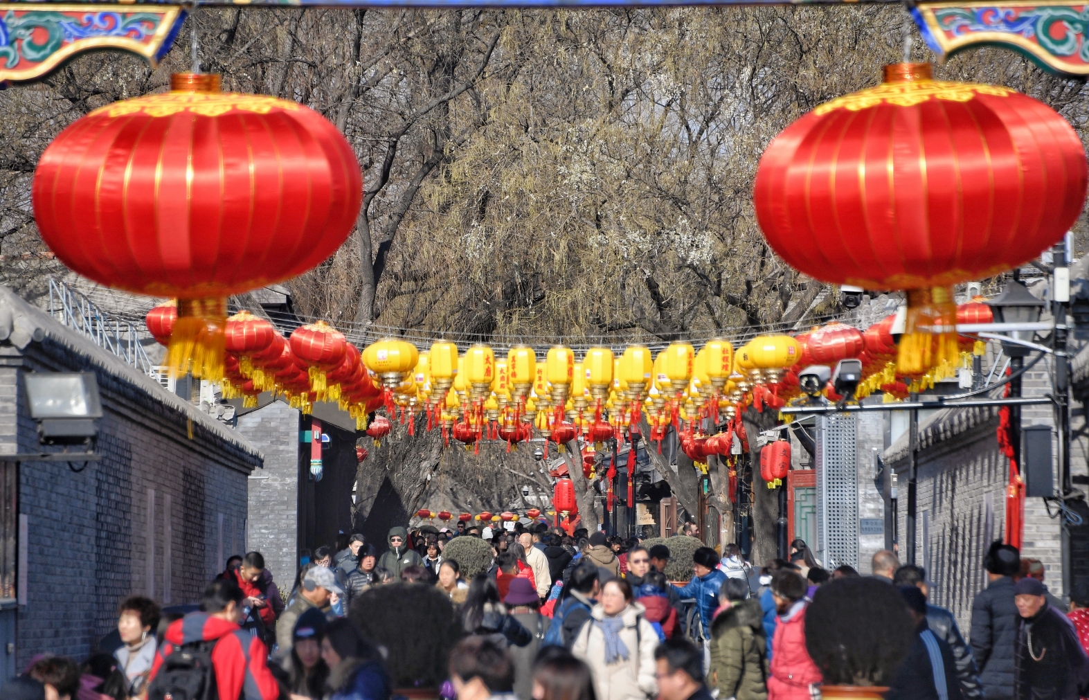 年味旅游目的地探寻春节独特韵味之旅