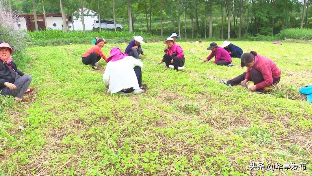 华亭县公路运输管理事业单位发展规划展望