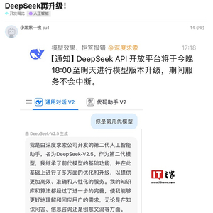 日本对DeepSeek的立场，深海技术双刃剑效应的探索