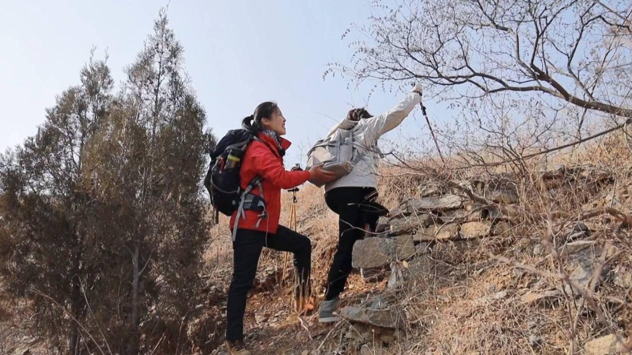 立春拥抱美好，探寻春天的魅力与希望之旅