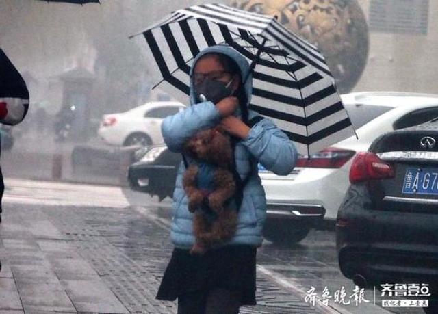 母女雨夜行动拯救被亲戚抱走的小狗