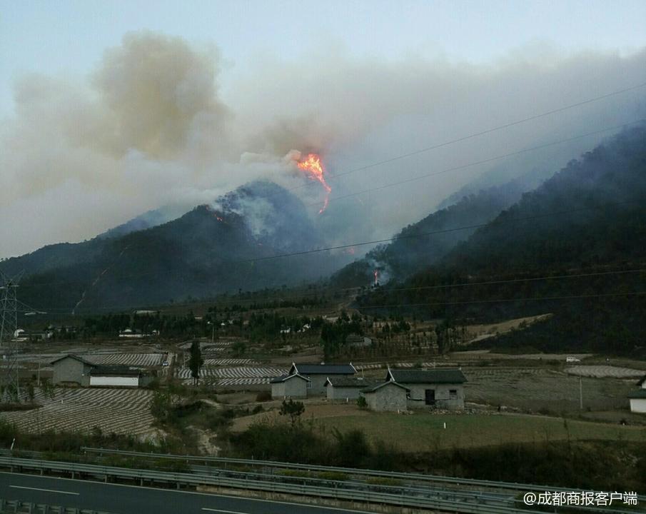 玩火引发山火，家长赔偿损失达百万，事件反思与教训启示