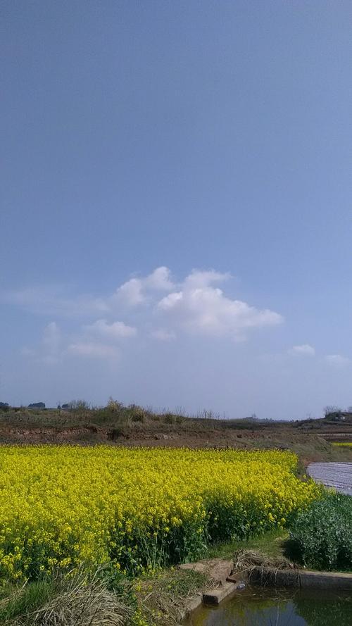 景台镇天气预报更新