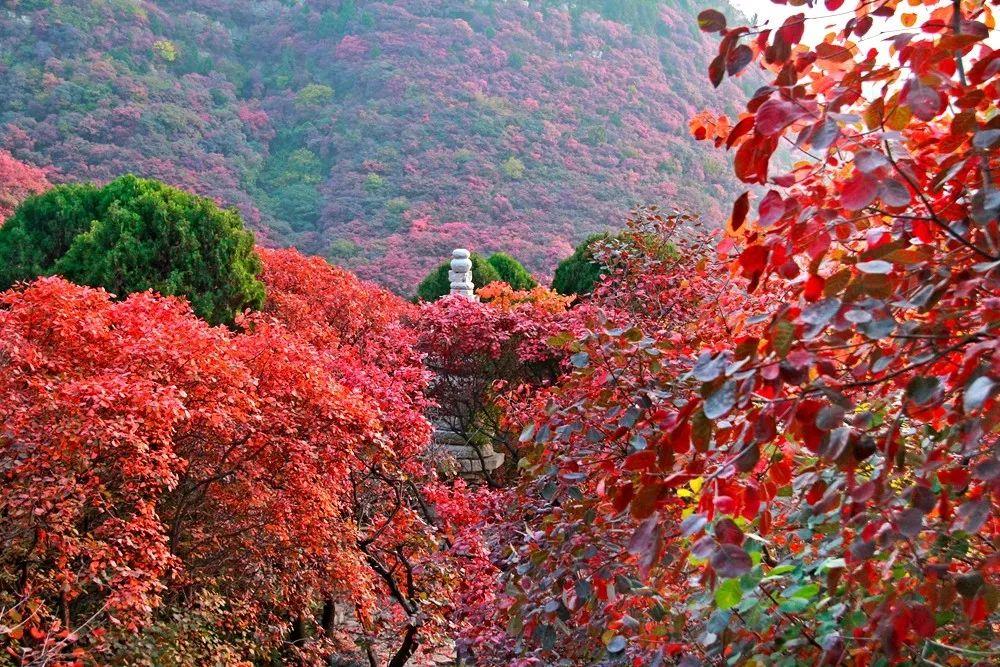 香山乡领导团队引领乡村新篇章启航