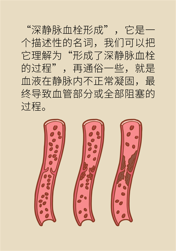 警钟长鸣，青年论文赶工背后的健康警示号角