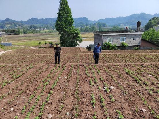 松溪县农业农村局新项目推动农业现代化助力乡村振兴